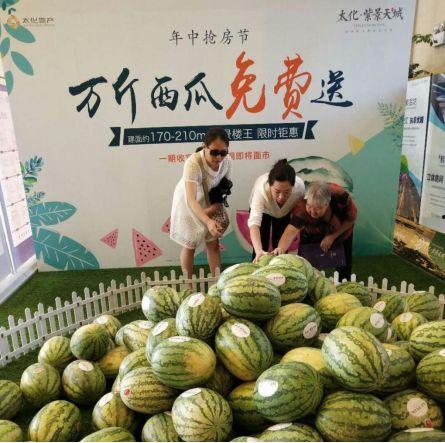 梁山龙城吃瓜,一场别开生面的吃瓜盛宴