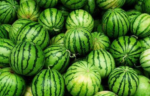 夏天吃瓜照,瓜果飘香，夏日吃瓜瞬间记录