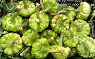 姜校长 吃瓜,揭秘校园里的那些“瓜”