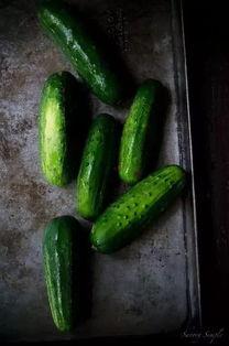 在朝堂吃瓜7,揭秘宫廷中的“吃瓜”文化