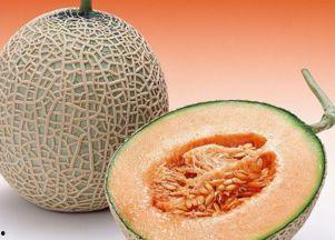 吃阿胶可以吃哈密瓜吗,健康搭配的饮食智慧