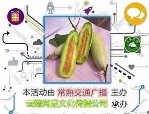 羊角瓜花怎么吃,探索家常烹饪新选择
