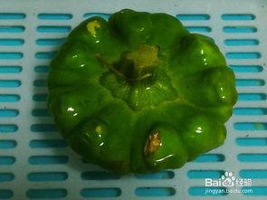 怀孕吃姜饼瓜吗,适宜食用还是需谨慎？