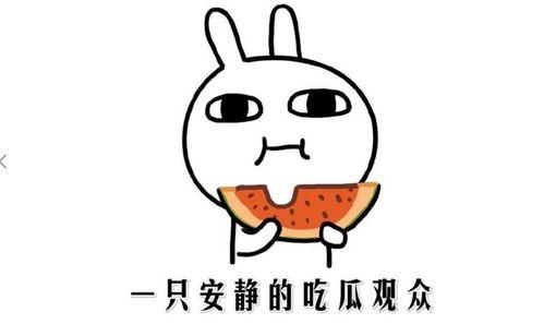 吃瓜最近抖音,揭秘网红美食背后的故事”