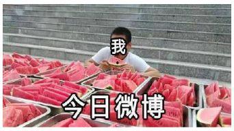 吃瓜前线4,揭秘娱乐圈幕后风云