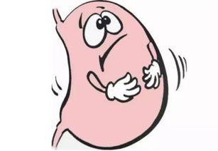 胃不适可以吃瓜吗,西瓜还是禁果？揭秘瓜类食物对胃部的影响