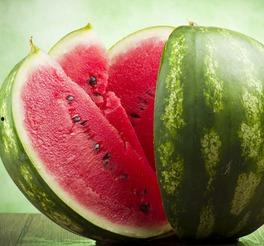 伦敦吃瓜群头像,揭秘英伦街头美食风云录