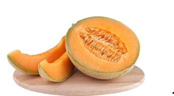 五个月可以吃哈密瓜吗