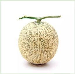 悠闲吃瓜的bgm,跟随吃瓜BGM畅享清凉时光