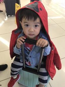 吃瓜小熊somi,揭秘娱乐圈的幕后故事