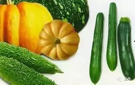 瓜怎么调着吃,瓜类美食调着吃指南