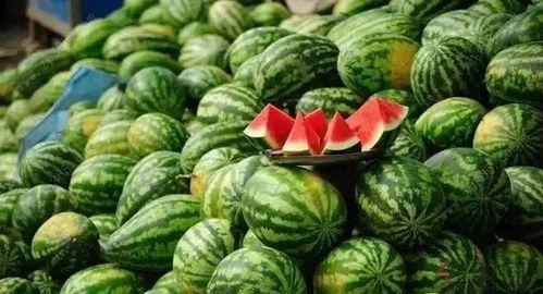 主页有瓜吃,主页有瓜吃背后的故事与真相