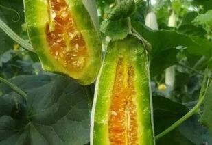 今日吃瓜猛料图片,揭秘娱乐圈最新热点事件