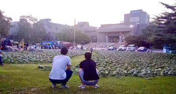 萍乡学院吃瓜事件,校园舆论风波背后的真相探究