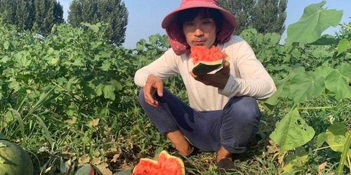 吃瓜群众瘦10斤,揭秘健康瘦身秘诀