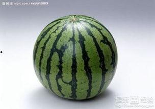 胆结结石吃瓜