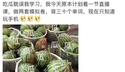 421吃瓜怎么获得,轻松获取热门资讯的秘诀